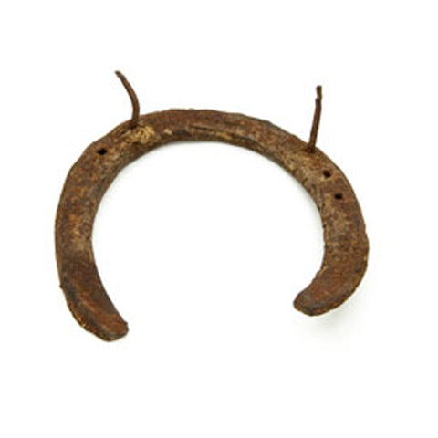 Black Horse Shoe for Protection & Prosperity