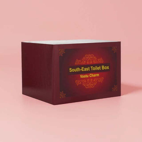 South East Toilet Vastu Dosh Nivaran Box