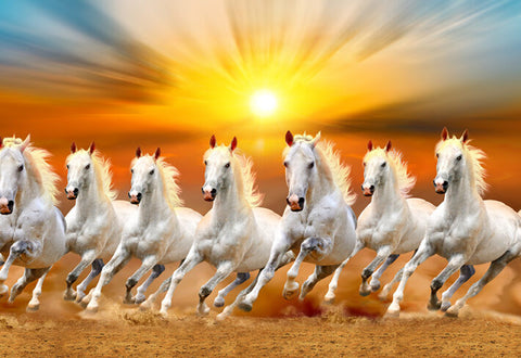 Seven Horse