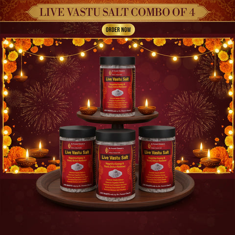Vaastu Sea Salt Pack of 4