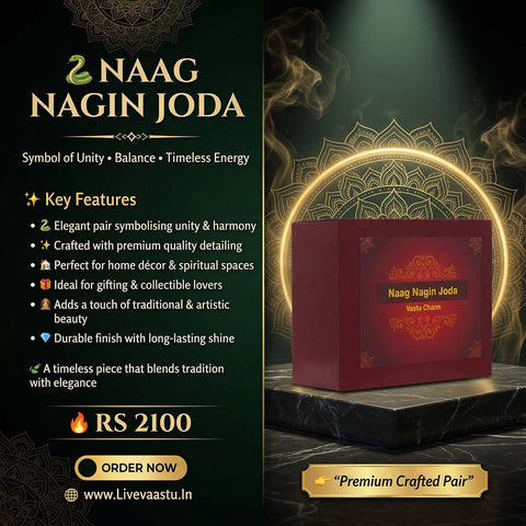 Naag Nagin Joda