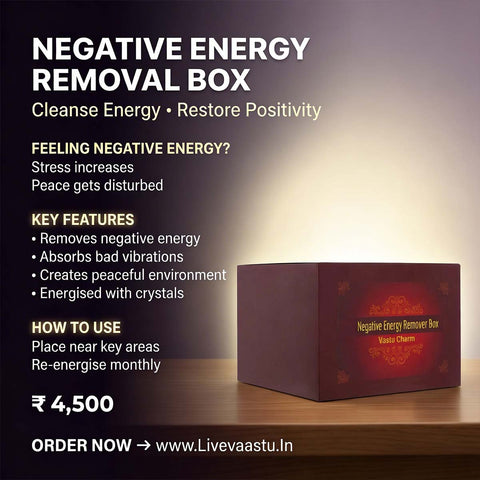 Negative Energy Removal Vastu Box | Remove Negativity