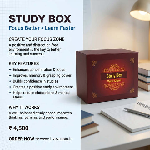 Study Box |  Focus & Concentration