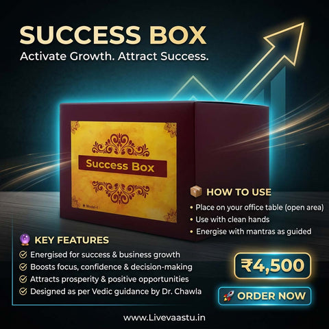 Success Box | Career & Business Growth